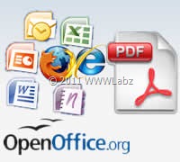 PDF